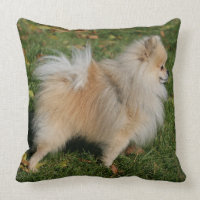 Pomeranian anseende