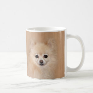 Pomeranian ansikte kaffemugg