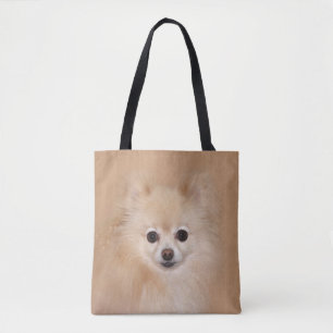 Pomeranian ansikte tygkasse
