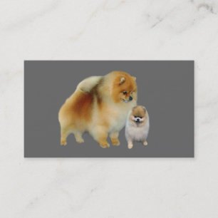 Pomeranian avelsdjurvisitkort visitkort