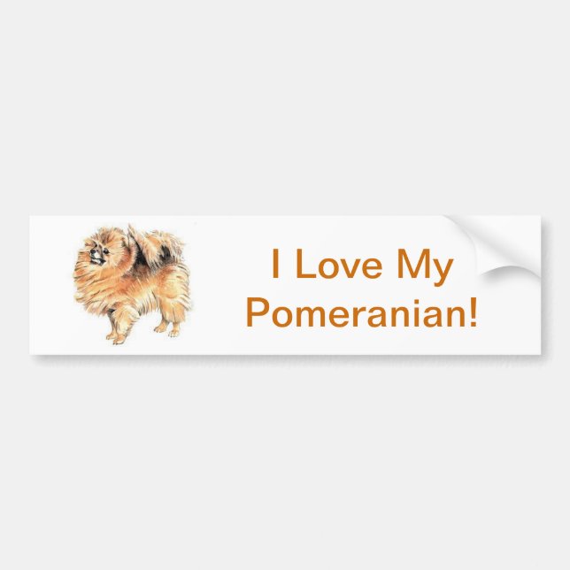 Pomeranian Bildekal (Framsidan)