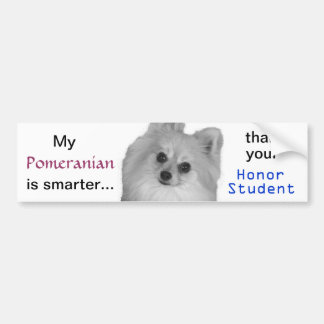 pomeranian bildekal