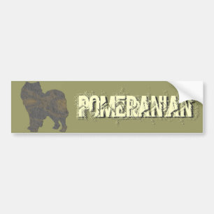 Pomeranian Bildekal