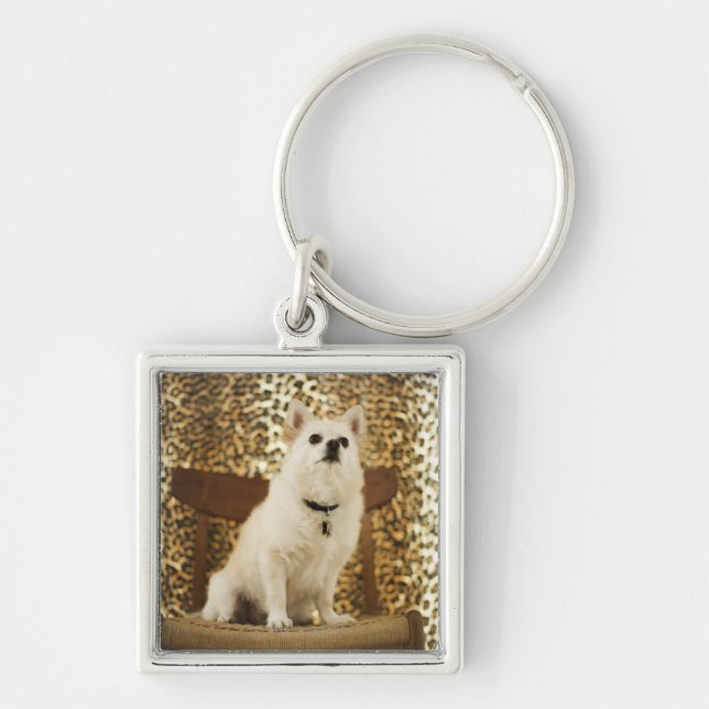 Pomeranian blandning fyrkantig silverfärgad nyckelring (Framsidan)