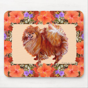Pomeranian Blomster Musmatta