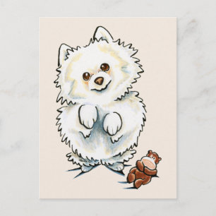 Pomeranian Boo Boo Vykort