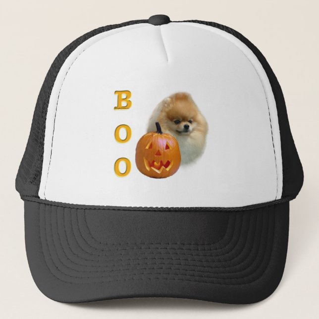 Pomeranian Boo Keps (Framsida)