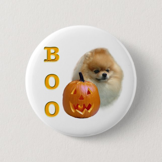 Pomeranian Boo Knapp (Framsida)