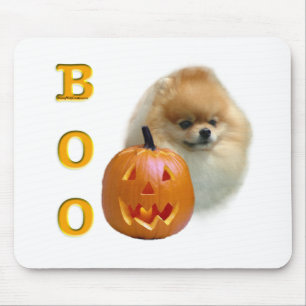 Pomeranian Boo Musmatta