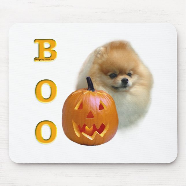 Pomeranian Boo Musmatta (Framsidan)