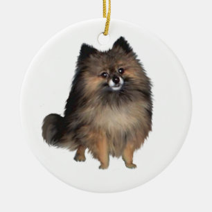 Pomeranian -  brindle julgransprydnad keramik