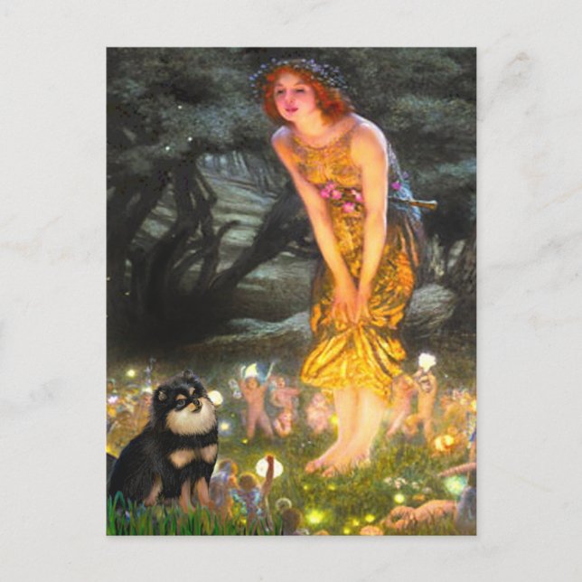 Pomeranian (BT) - Midsommar Vykort (Framsida)