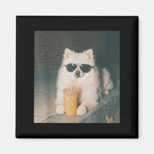Pomeranian Dricker Istrad Kaffebluse Rolig Hund Magnet