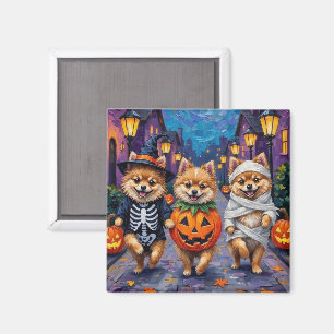 Pomeranian eller bus eller godis i Halloween-kosty Magnet