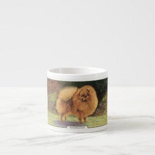 Pomeranian Espressomugg