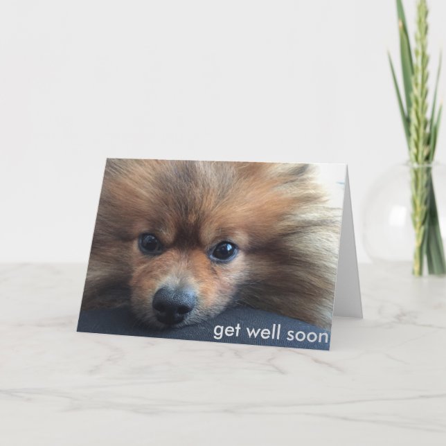 pomeranian få det väl snart kortet kort (Framsida)