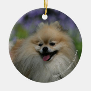 Pomeranian flåsa julgransprydnad keramik