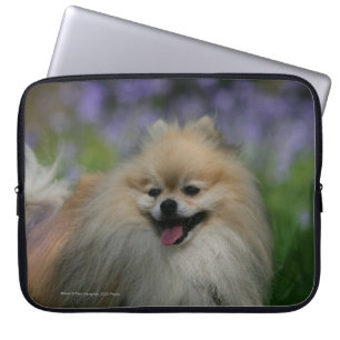 Pomeranian flåsa laptop sleeve