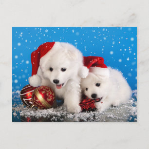 Pomeranian för julvalpvit Spitz Helg Vykort