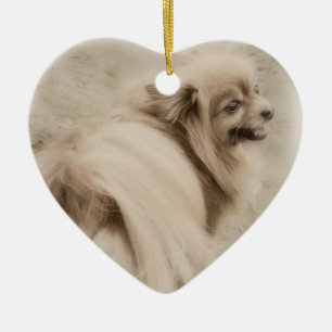 Pomeranian foto - drömlika Pom Julgransprydnad Keramik