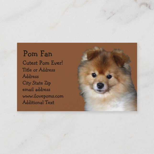 Pomeranian fotovisitkort visitkort (Framsida)