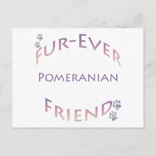Pomeranian Furever Vykort