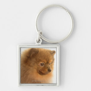 Pomeranian Fyrkantig Silverfärgad Nyckelring