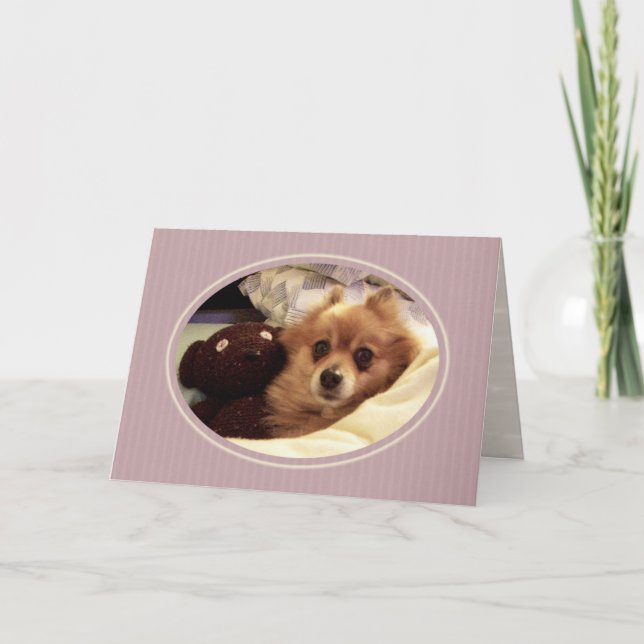 Pomeranian Get well Card Kort (Framsida)