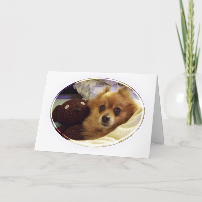 Pomeranian Grattis på födelsedagen Card Kort (Framsida)