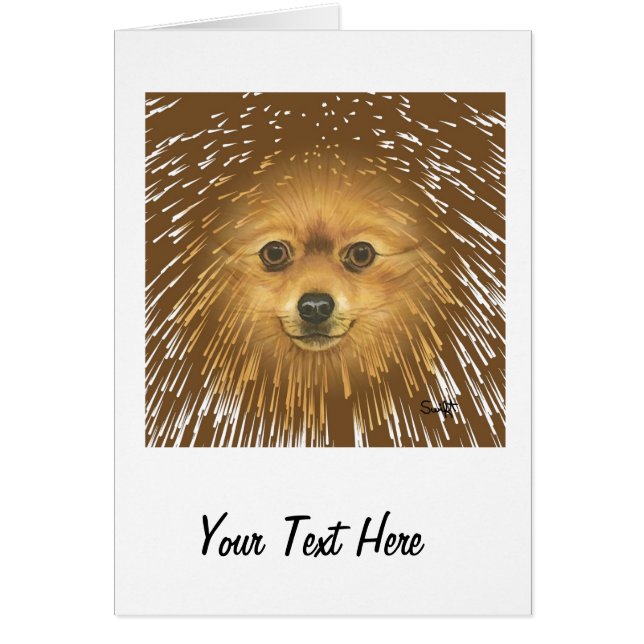 Pomeranian Hälsningskort (Framsidan)
