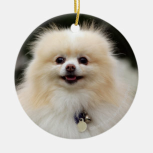 Pomeranian Headshot 1 Julgransprydnad Keramik