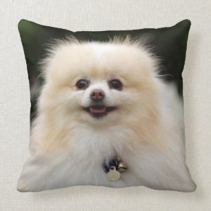 Pomeranian Headshot 1 Kudde