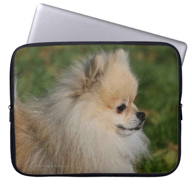 Pomeranian Headshot 2 Laptop Fodral (Framsidan)