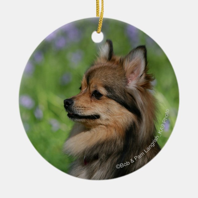 Pomeranian Headshotsitta Julgransprydnad Keramik (Framsidan)