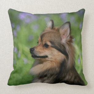 Pomeranian Headshotsitta Kudde