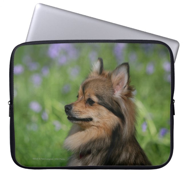Pomeranian Headshotsitta Laptop Fodral (Framsidan)