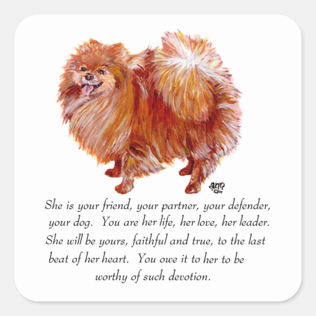 Pomeranian-hen minnesgåva fyrkantigt klistermärke (Framsida)