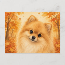 Pomeranian Höst Skog Hund Vykort
