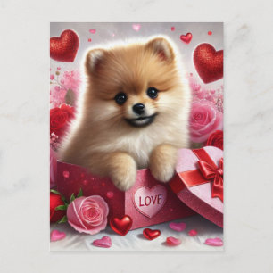 Pomeranian hund Alla hjärtans dag semester vykort