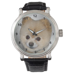 Pomeranian hund armbandsur