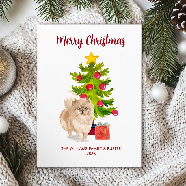 Pomeranian Hund Familj Jul Julkort (Skapare uppladdad)