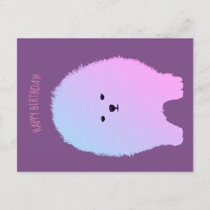 Pomeranian Hund, Fluffig Husdjur Postkort Vykort