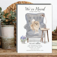 Pomeranian Hund | Flyttningsannons