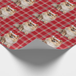 Pomeranian Hund Högtid Plaid Jul Presentpapper