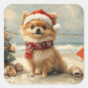 Pomeranian Hund Jul Vintage Strand Fyrkantigt Klistermärke