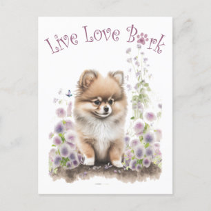 Pomeranian Hund Mamma Blommig Vykort