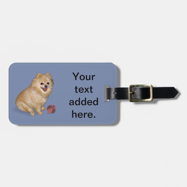 Pomeranian hund med boll bagagebricka (Horisontell Framsida)