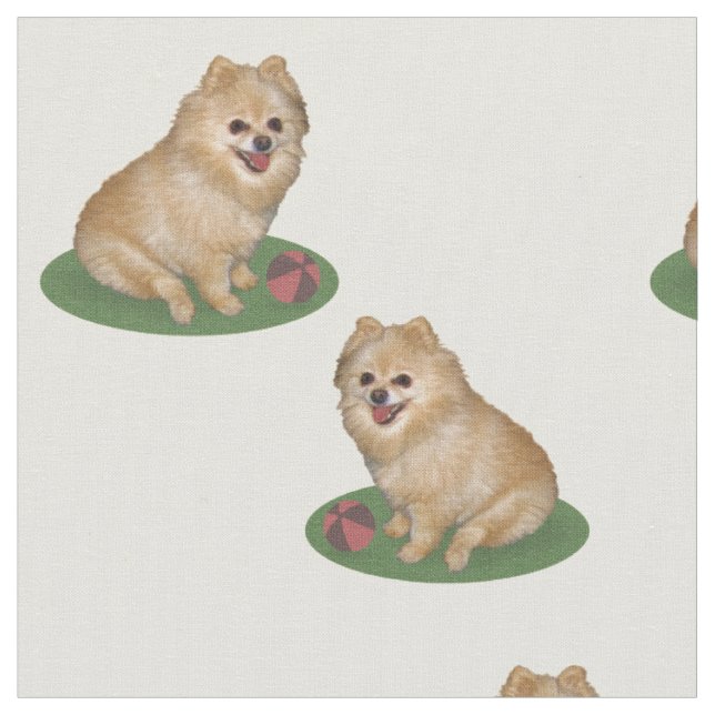 Pomeranian hund med bollanpassade tyg (Närbild)