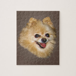 Pomeranian hund på brunt pussel