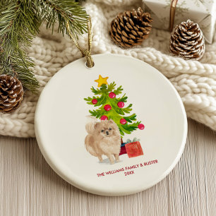 Pomeranian Hund Personlig Jul Julgransprydnad Keramik